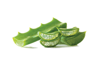 Aloevera Extract
