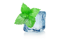 Menthol