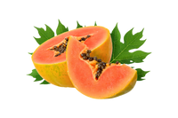 Papaya Extract