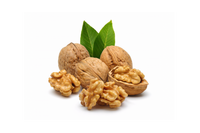 Walnut Extract