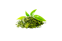 Green Tea Extract