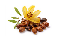 Jojoba Seed Oil